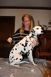 DALMATIEN - BROSSAGE 049